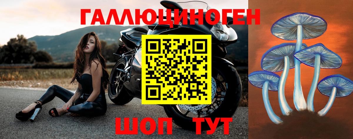 Псилоцибиновые грибы мухоморы Шелехов